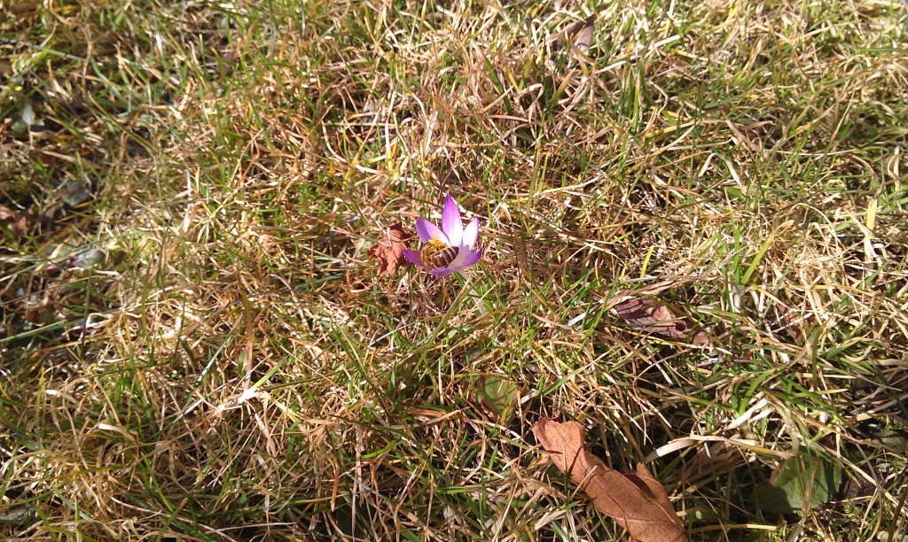 IMAG0208