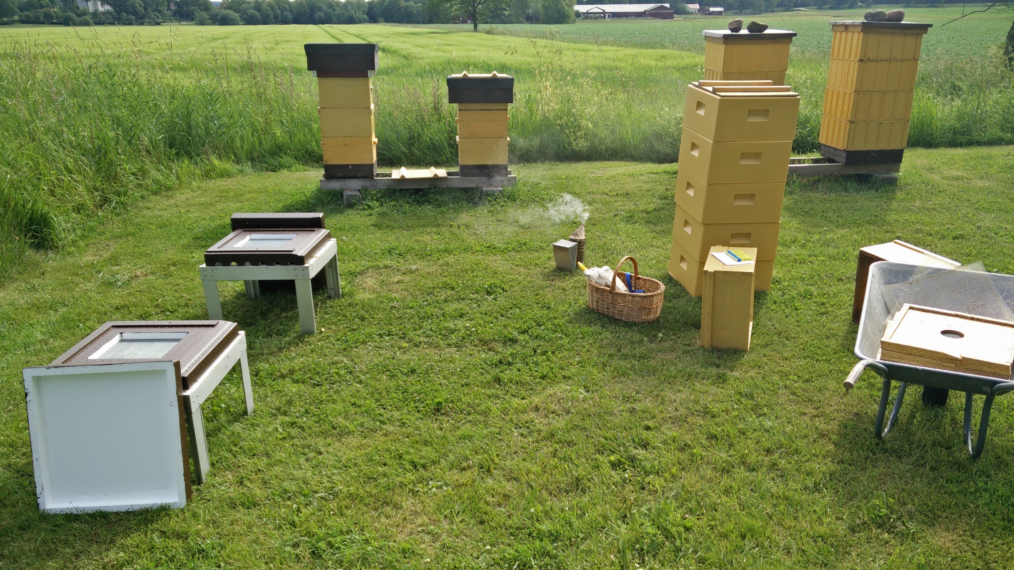 2015-07-01 09.54.46 HDR