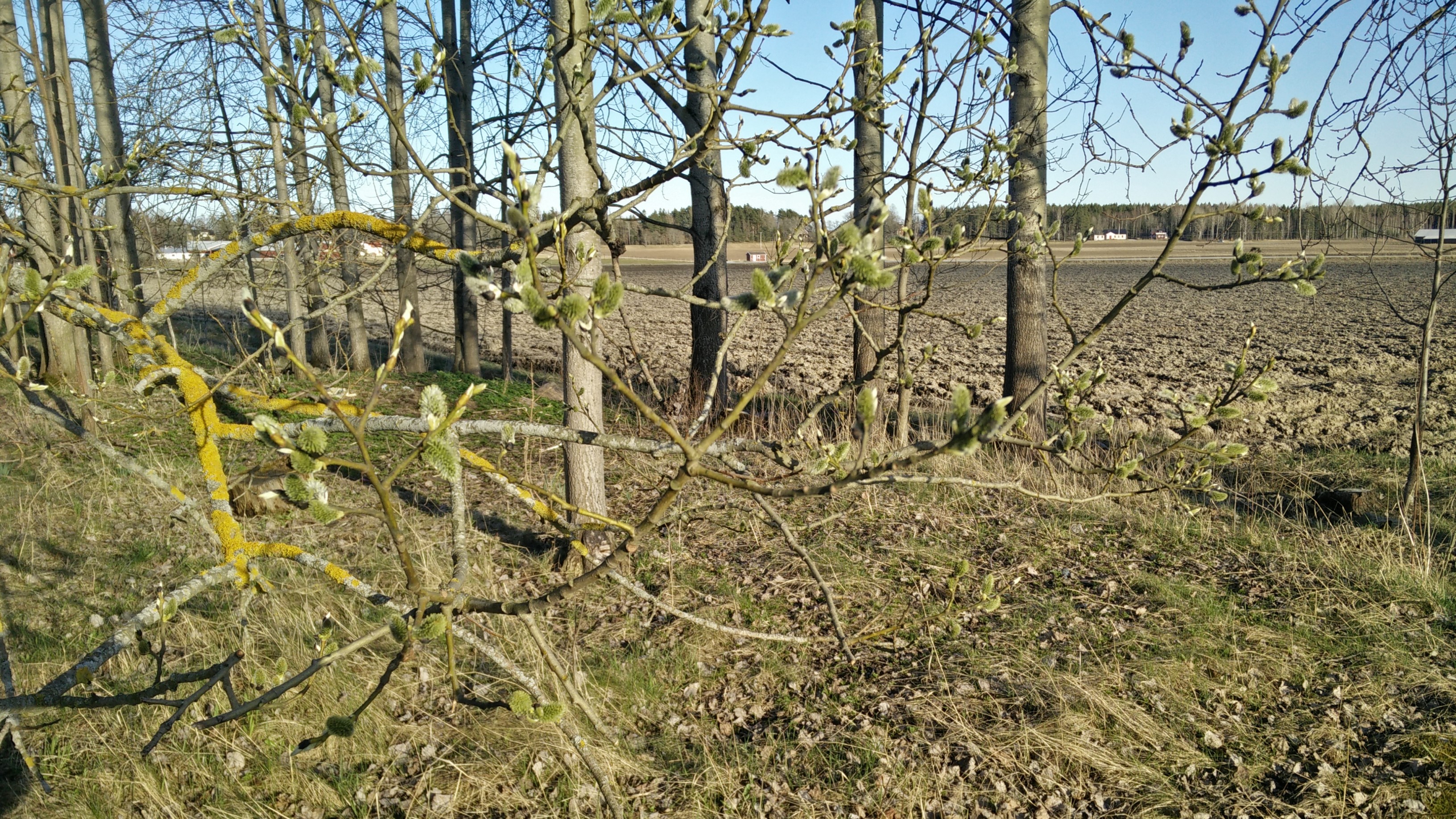 2016-04-12 17.55.15 HDR