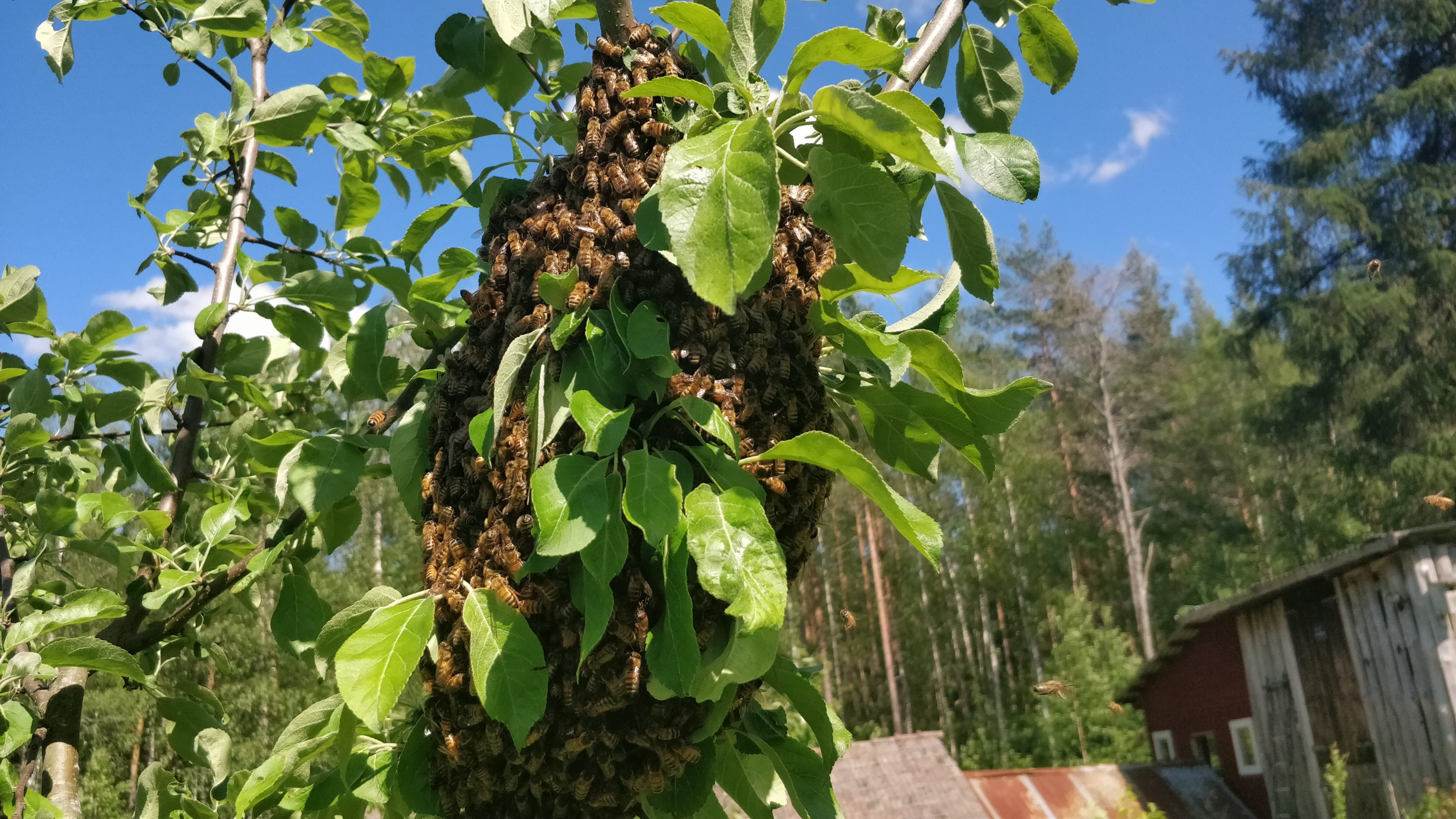 2019-06-10 15.27.25-1